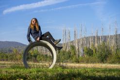 Třebenice a okolí - 20.10.2024