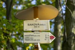 Třebenice a okolí - 20.10.2024