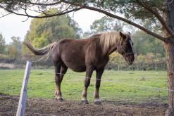 Třebenice a okolí - 20.10.2024