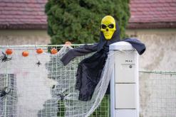 Třebenice a okolí - 20.10.2024