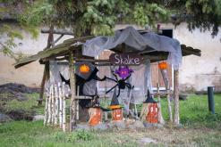 Třebenice a okolí - 20.10.2024