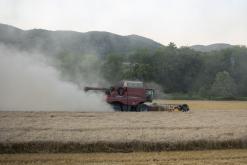 Milešov - 30.7.2024