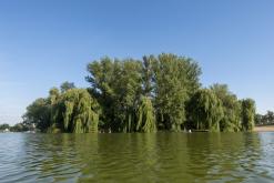 Žernosecké jezero - 14.8.2024