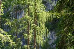 Dolomity - Prodloužený víkend v Itálii (červenec 2024)