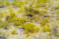 Dolomity - Prodloužený víkend v Itálii (červenec 2024)