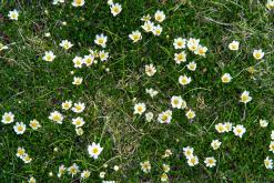 Dolomity - Prodloužený víkend v Itálii (červenec 2024)