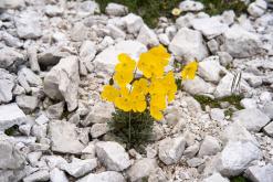 Dolomity - Prodloužený víkend v Itálii (červenec 2024)