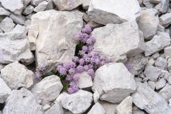 Dolomity - Prodloužený víkend v Itálii (červenec 2024)