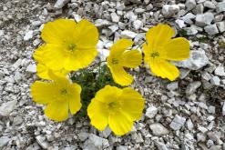 Dolomity - Prodloužený víkend v Itálii (červenec 2024)