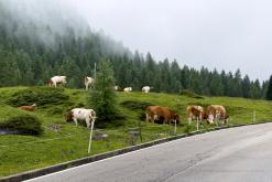 Dolomity - Prodloužený víkend v Itálii (červenec 2024)