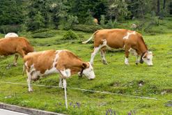 Dolomity - Prodloužený víkend v Itálii (červenec 2024)