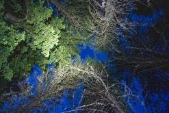 Dolomity - Prodloužený víkend v Itálii (červenec 2024)