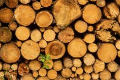 Dolomity - Prodloužený víkend v Itálii (červenec 2024)