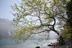 Gardské jezero - Týden v Itálii (duben 2015)