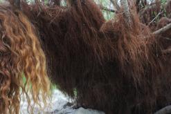 Lago di Tenno - Týden v Itálii (duben 2015)