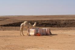 pohoří Tuwaiq - Týden po Saudské Arábii (prosinec 2024)