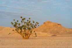 pohoří Tuwaiq - Týden po Saudské Arábii (prosinec 2024)