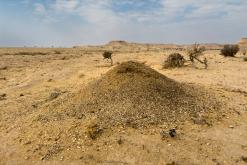 pohoří Tuwaiq - Týden po Saudské Arábii (prosinec 2024)