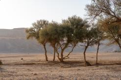 pohoří Tuwaiq - Týden po Saudské Arábii (prosinec 2024)