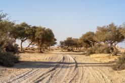 pohoří Tuwaiq - Týden po Saudské Arábii (prosinec 2024)