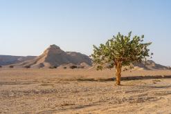 pohoří Tuwaiq - Týden po Saudské Arábii (prosinec 2024)