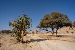 pohoří Tuwaiq - Týden po Saudské Arábii (prosinec 2024)