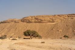 pohoří Tuwaiq - Týden po Saudské Arábii (prosinec 2024)