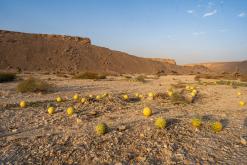 pohoří Tuwaiq - Týden po Saudské Arábii (prosinec 2024)