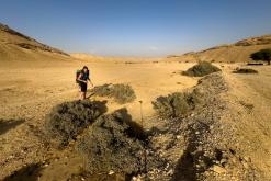 pohoří Tuwaiq - Týden po Saudské Arábii (prosinec 2024)