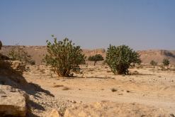 pohoří Tuwaiq - Týden po Saudské Arábii (prosinec 2024)