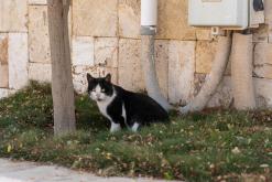 Rijád - Týden po Saudské Arábii (prosinec 2024)