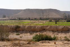 Rijád - Týden po Saudské Arábii (prosinec 2024)