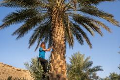 Rijád - Týden po Saudské Arábii (prosinec 2024)