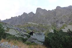 Vysoké Tatry - září 2015