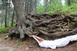 Vysoké Tatry - září 2015