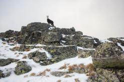 Vysoké Tatry - listopad 2015