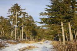 Vysoké Tatry - únor 2016