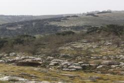 Jeruzalém - Týden v Izraeli (duben 2016)