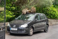 Gibraltar - Prodloužený víkend po Španělsku (duben 2024)