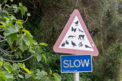 Gibraltar - Prodloužený víkend po Španělsku (duben 2024)