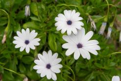 Gibraltar - Prodloužený víkend po Španělsku (duben 2024)