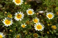 Gibraltar - Prodloužený víkend po Španělsku (duben 2024)