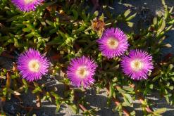 Gibraltar - Prodloužený víkend po Španělsku (duben 2024)