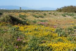 Gibraltar - Prodloužený víkend po Španělsku (duben 2024)