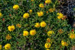 Gibraltar - Prodloužený víkend po Španělsku (duben 2024)