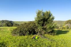 Estepona - Prodloužený víkend po Španělsku (duben 2024)