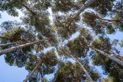 Estepona - Prodloužený víkend po Španělsku (duben 2024)