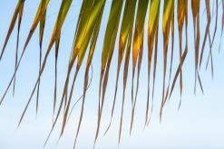 Estepona - Prodloužený víkend po Španělsku (duben 2024)