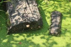 Poltava - Týden po Ukrajině (srpen 2016)