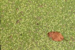 Poltava - Týden po Ukrajině (srpen 2016)